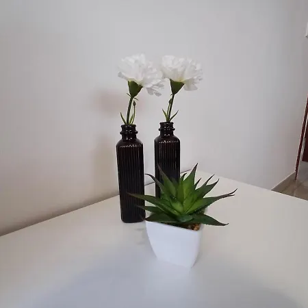 Cerca De Expourense Y Del Centro De Apartman *